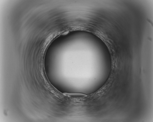 X0000101190241200807071321
