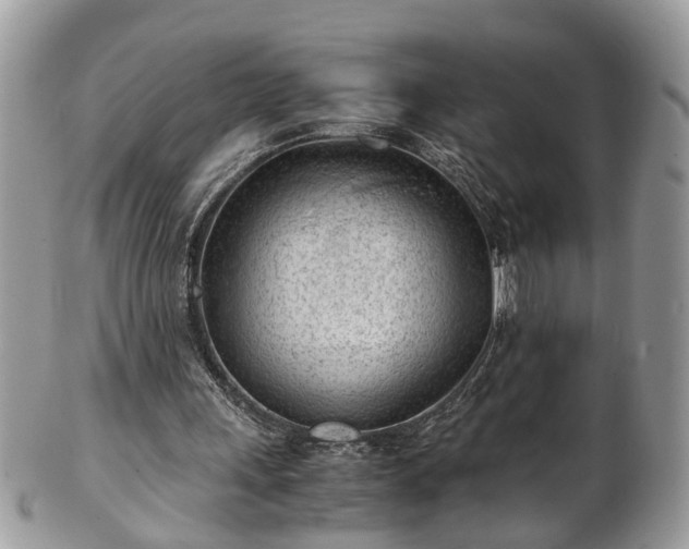 X0000101190243200807071321
