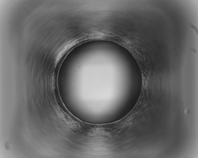 X0000101190244200807071321