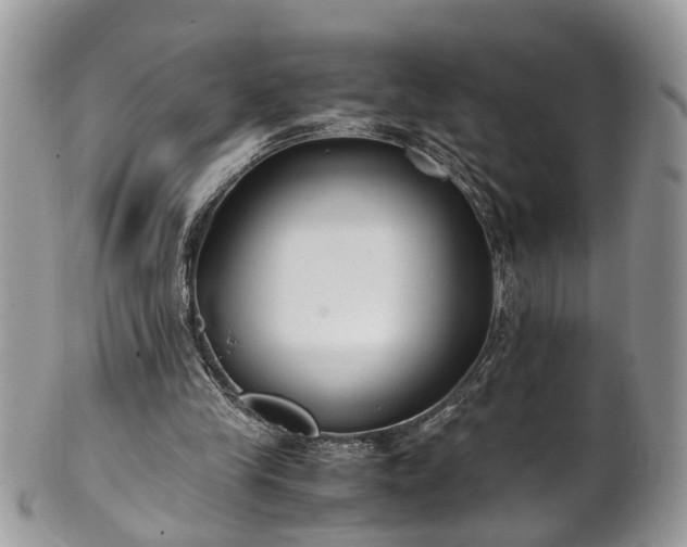 X0000101190245200807071321