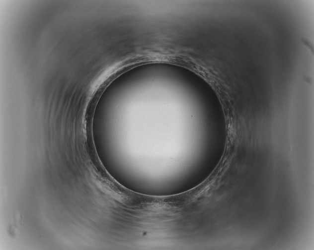 X0000101190246200807071321