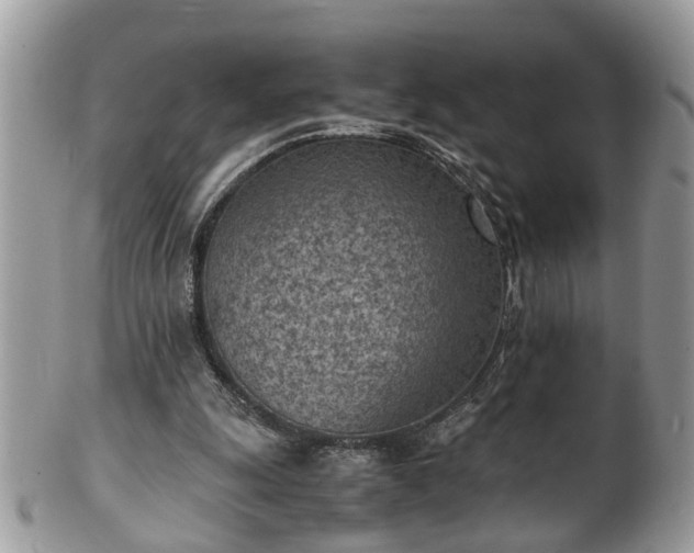 X0000101190247200807071321