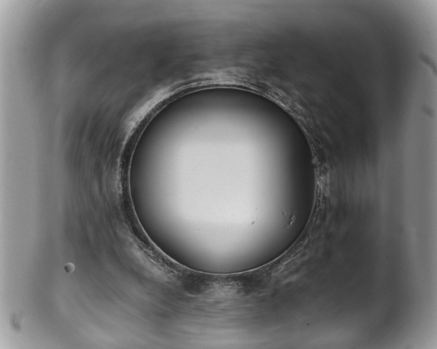 X0000101190248200807071321