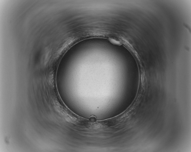 X0000101190249200807071321