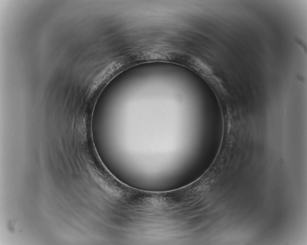 X0000101190250200807071321