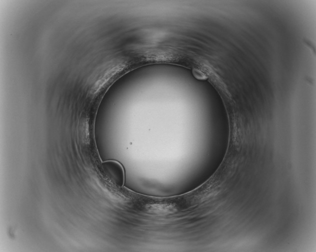 X0000101190251200807071321