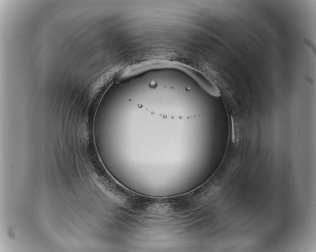 X0000101190252200807071321