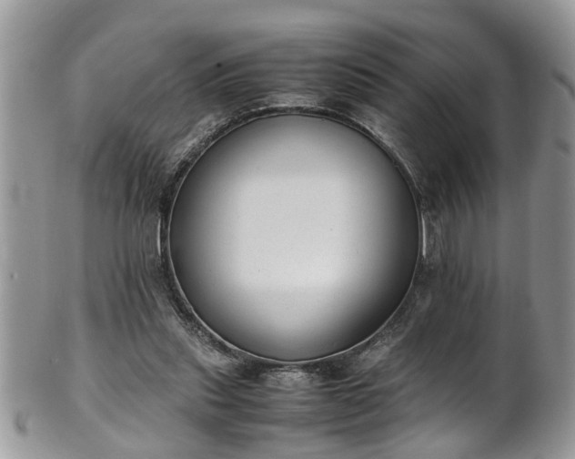 X0000101190253200807071322