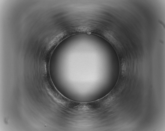 X0000101190254200807071322