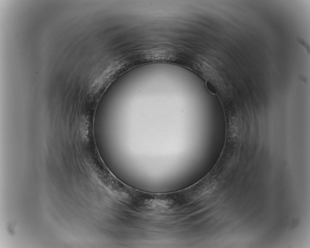 X0000101190255200807071322