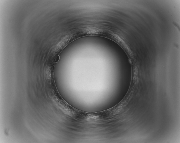 X0000101190257200807071322