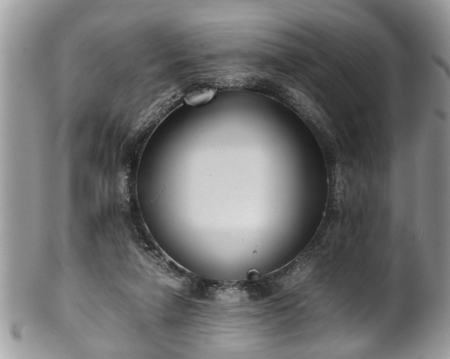 X0000101190258200807071322