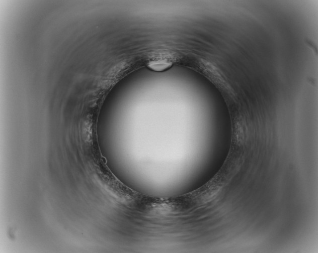 X0000101190259200807071322
