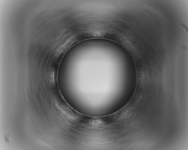 X0000101190262200807071322