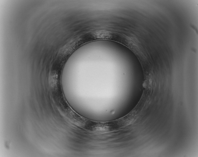 X0000101190263200807071322