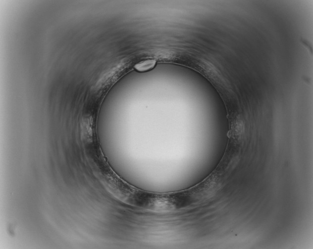 X0000101190264200807071322