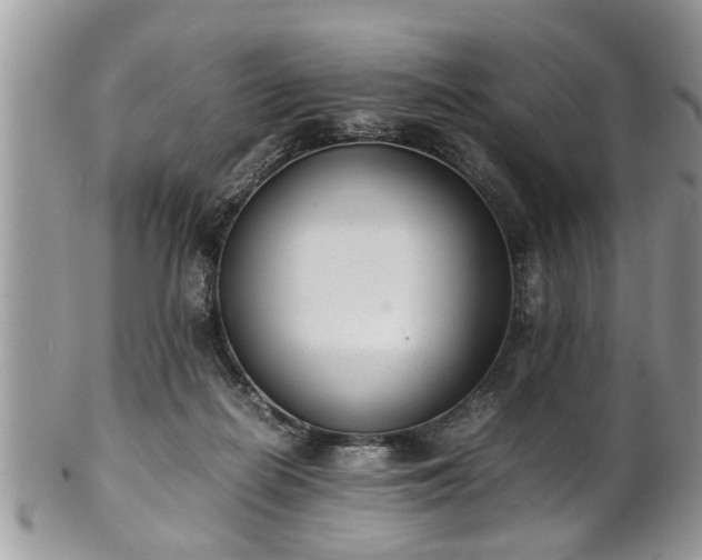 X0000101190266200807071322