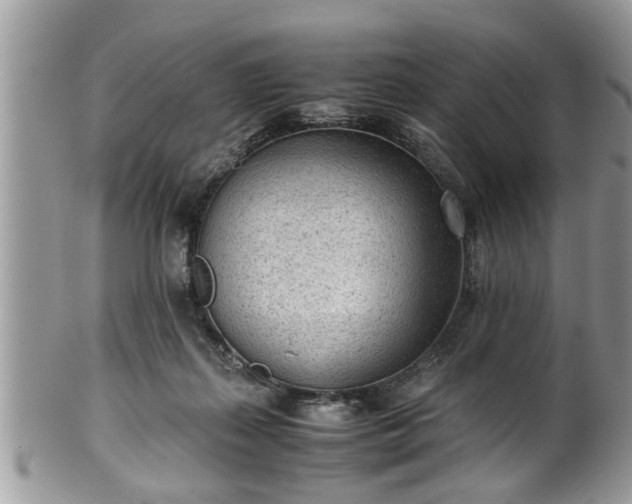 X0000101190267200807071322