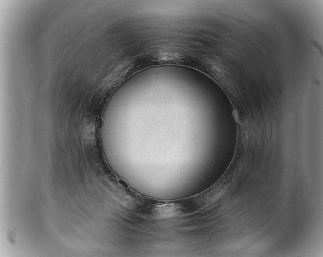 X0000101190269200807071322