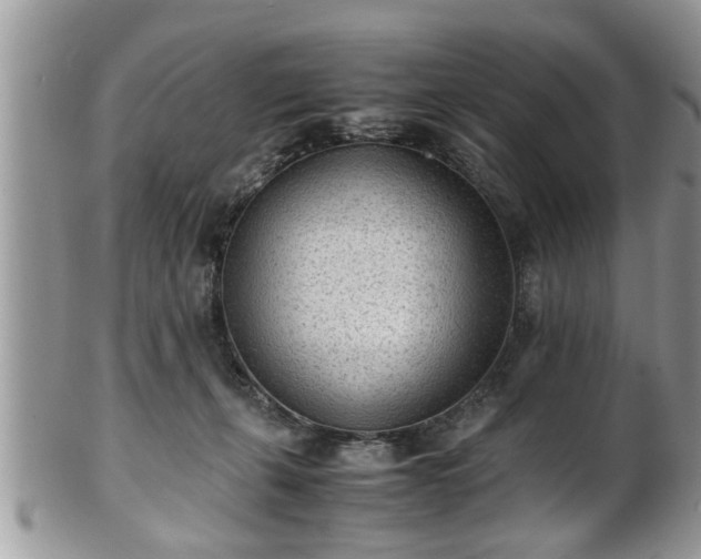 X0000101190271200807071322