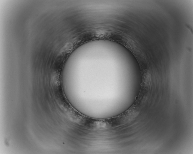 X0000101190272200807071322