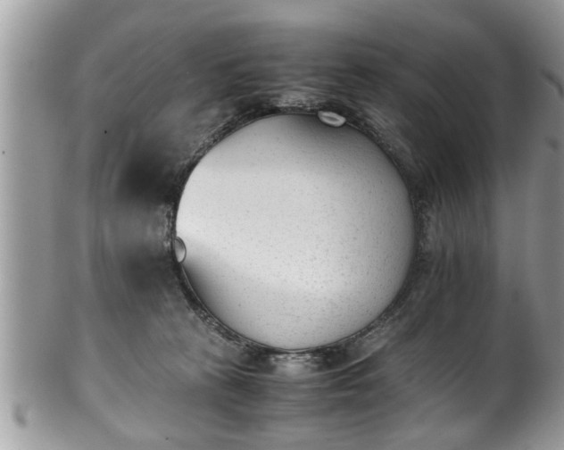 X0000101190273200807071322