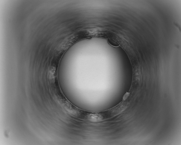 X0000101190275200807071322