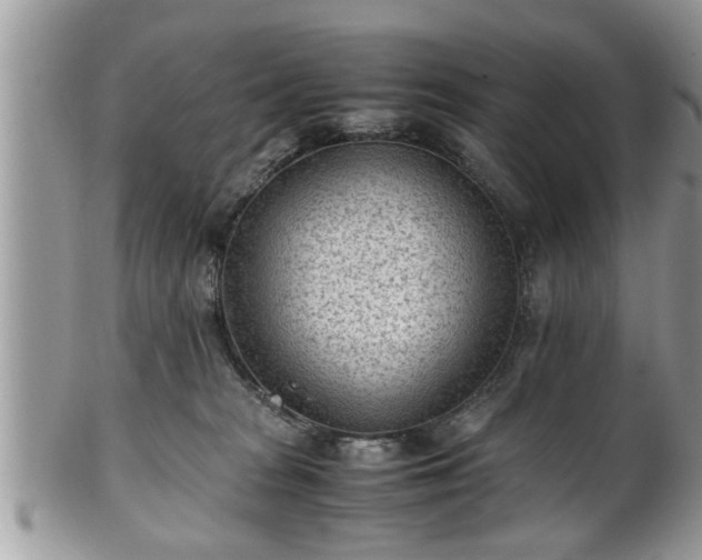 X0000101190277200807071322