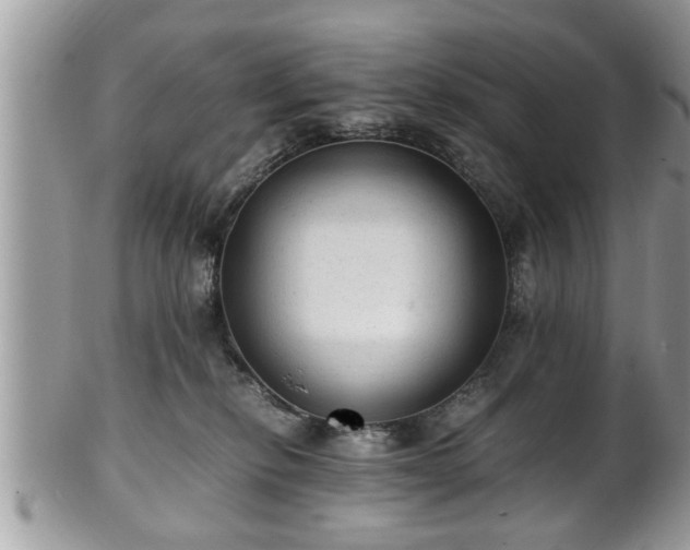 X0000101190278200807071322