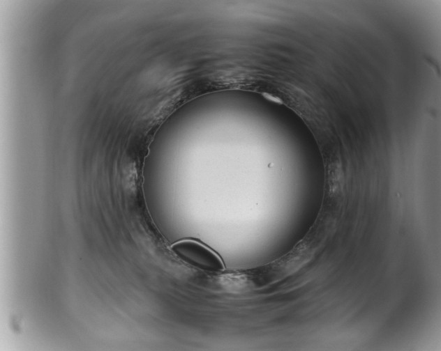 X0000101190279200807071322