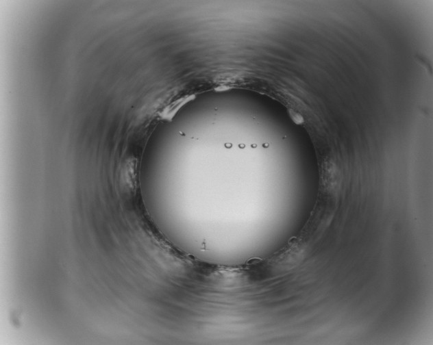 X0000101190280200807071322