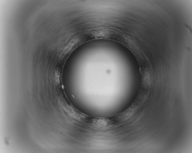 X0000101190282200807071322
