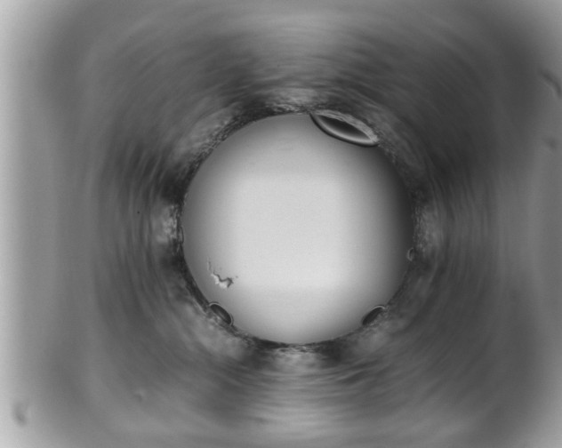 X0000101190284200807071322