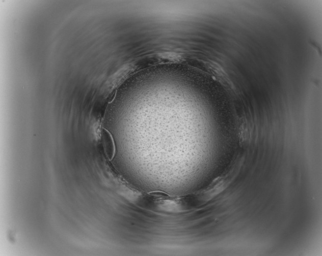 X0000101190285200807071322