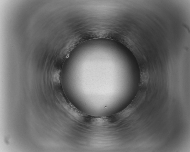 X0000101190286200807071322