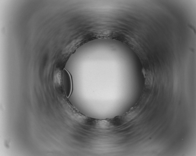 X0000101190287200807071322