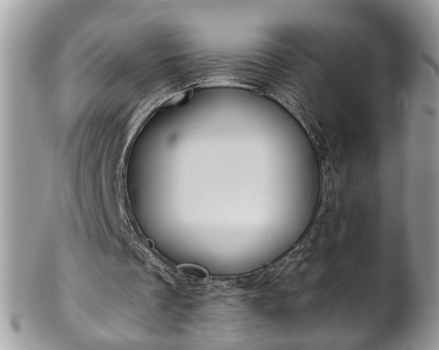 X0000101190289200807071321
