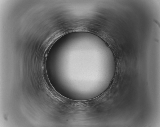 X0000101190290200807071321