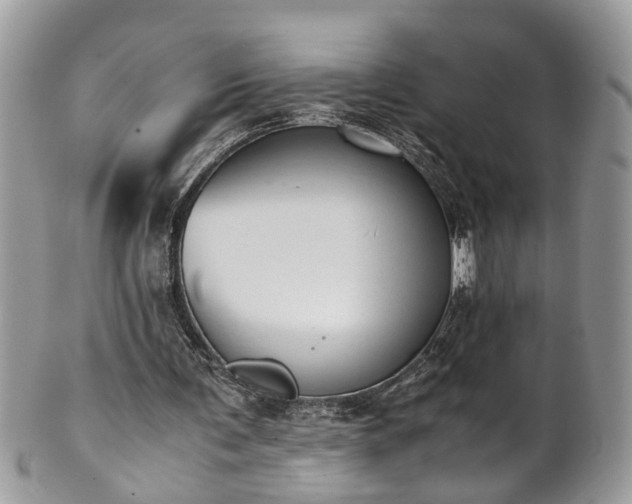 X0000101190291200807071321