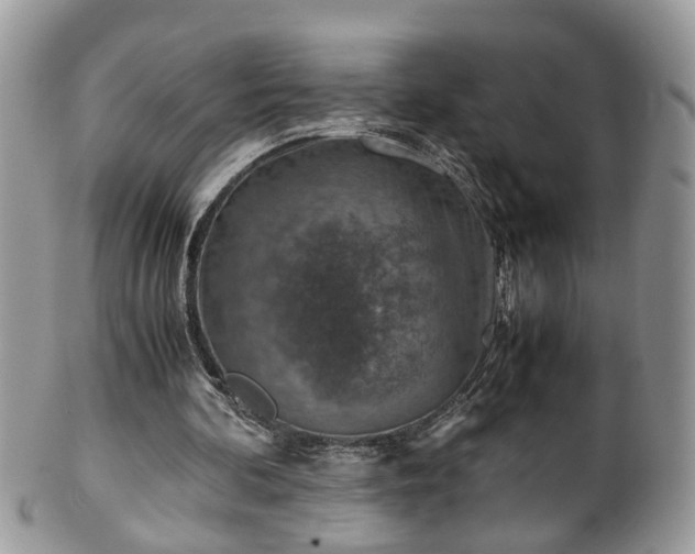 X0000101190292200807071321
