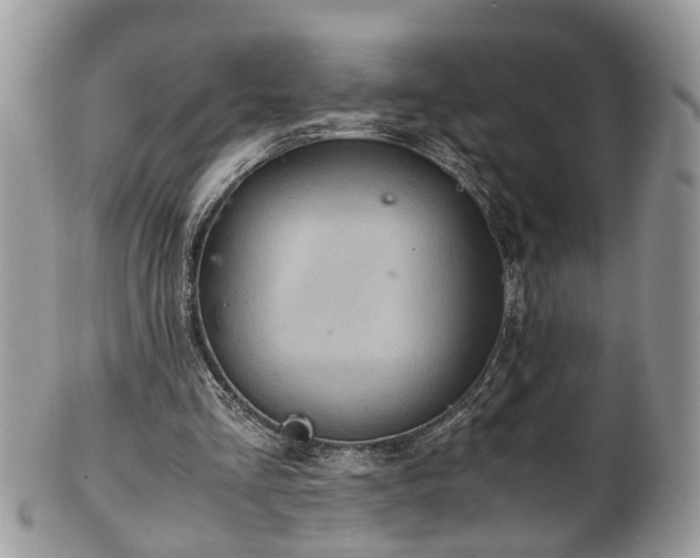 X0000101190293200807071321