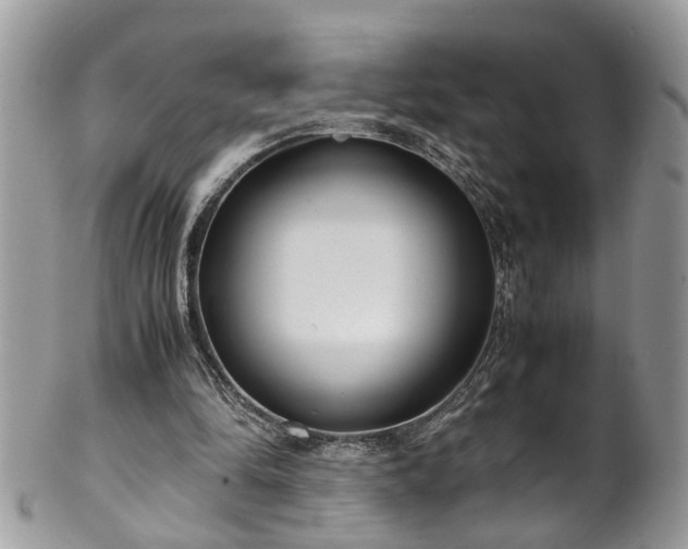 X0000101190294200807071321