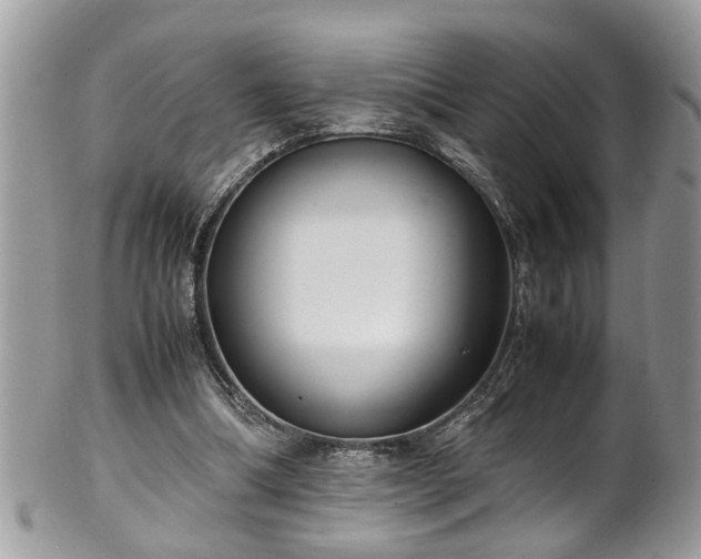 X0000101190298200807071321