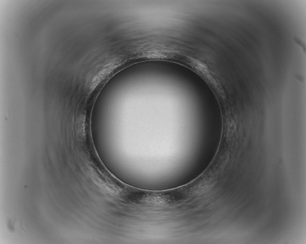 X0000101190299200807071321
