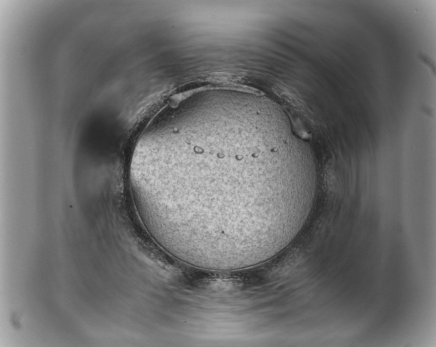 X0000101190303200807071321