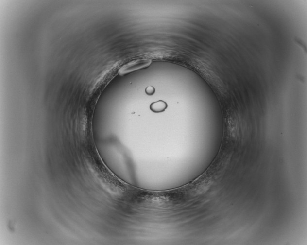 X0000101190304200807071321