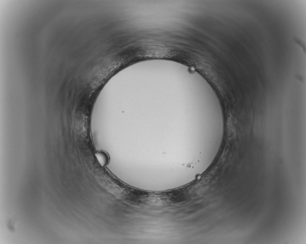 X0000101190305200807071321