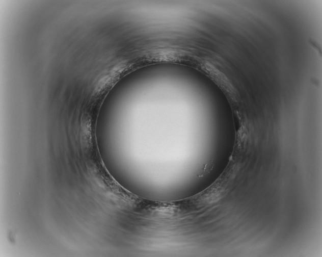 X0000101190306200807071321