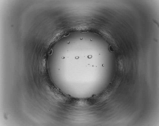 X0000101190308200807071321