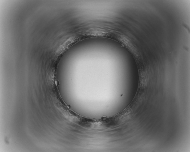 X0000101190309200807071321
